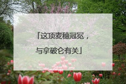 这顶麦穗冠冕，与拿破仑有关