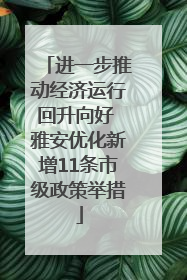 进一步推动经济运行回升向好 雅安优化新增11条市级政策举措
