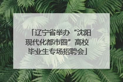 辽宁省举办“沈阳现代化都市圈”高校毕业生专场招聘会
