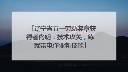 辽宁省五一劳动奖章获得者佟明：技术攻关，练就带电作业新技能