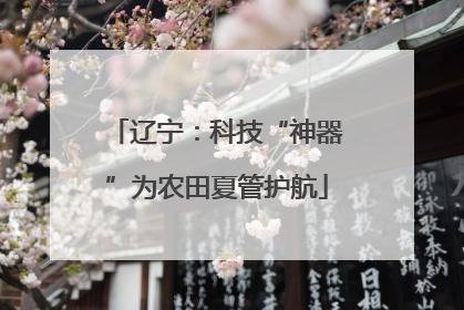 辽宁：科技“神器”为农田夏管护航