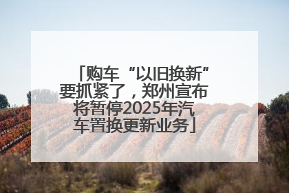 购车“以旧换新”要抓紧了，郑州宣布将暂停2025年汽车置换更新业务