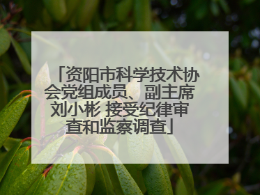 资阳市科学技术协会党组成员、副主席刘小彬 接受纪律审查和监察调查