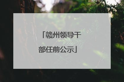 赣州领导干部任前公示