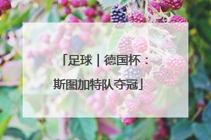 足球｜德国杯：斯图加特队夺冠