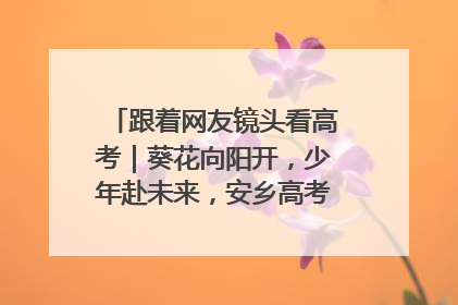 跟着网友镜头看高考｜葵花向阳开，少年赴未来，安乡高考首日的希望图景
