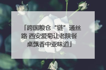 跨国粮仓“链”通丝路 西安爱菊让老陕餐桌飘香中亚味道
