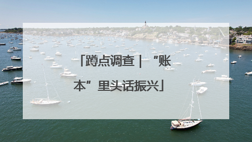 蹲点调查｜“账本”里头话振兴