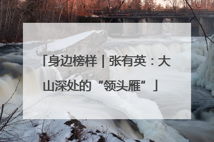 身边榜样｜张有英：大山深处的“领头雁”