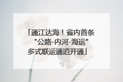 通江达海！省内首条“公路-内河-海运”多式联运通道开通