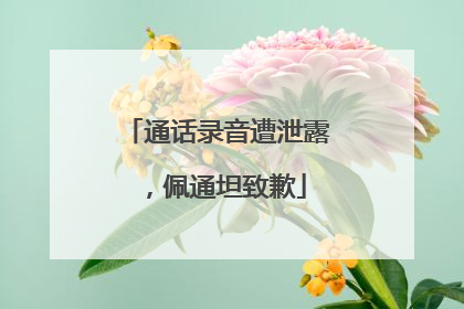通话录音遭泄露，佩通坦致歉