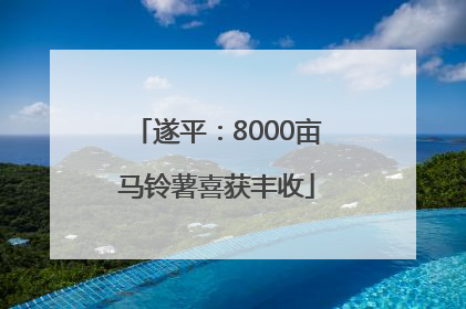 遂平：8000亩马铃薯喜获丰收