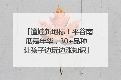 遛娃新地标！平谷南瓜嘉年华，30+品种让孩子边玩边涨知识