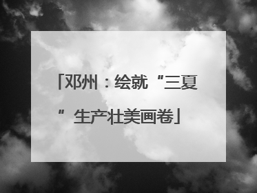 邓州：绘就“三夏”生产壮美画卷