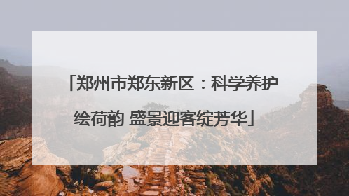 郑州市郑东新区：科学养护绘荷韵 盛景迎客绽芳华