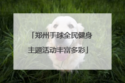 郑州手球全民健身主题活动丰富多彩