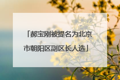 郝宝刚被提名为北京市朝阳区副区长人选