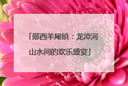 郧西羊尾镇：龙潭河山水间的欢乐盛宴