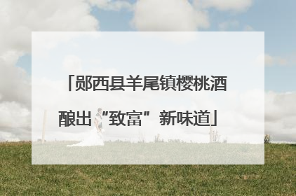 郧西县羊尾镇樱桃酒酿出“致富”新味道