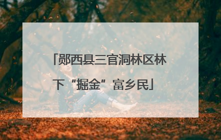郧西县三官洞林区林下“掘金”富乡民