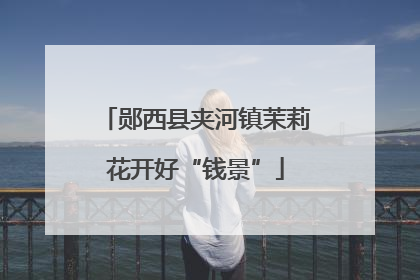 郧西县夹河镇茉莉花开好“钱景”