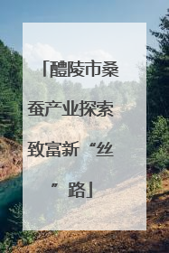 醴陵市桑蚕产业探索致富新“丝”路