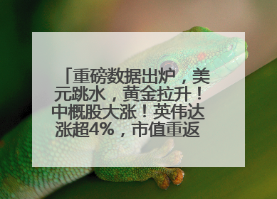 重磅数据出炉，美元跳水，黄金拉升！中概股大涨！英伟达涨超4%，市值重返全球第一！黄仁勋计划出售至多600万股股票