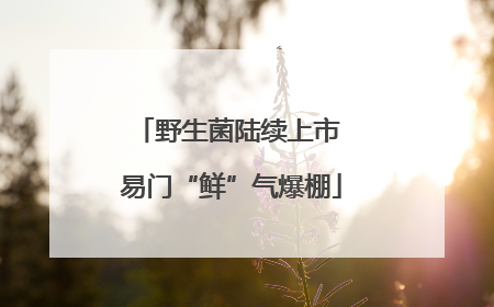 野生菌陆续上市 易门“鲜”气爆棚
