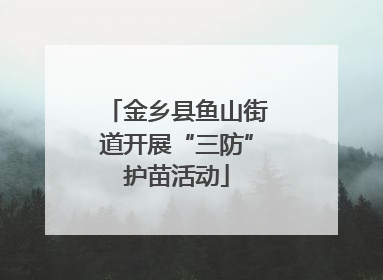 金乡县鱼山街道开展“三防”护苗活动