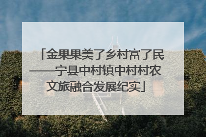 金果果美了乡村富了民——宁县中村镇中村村农文旅融合发展纪实