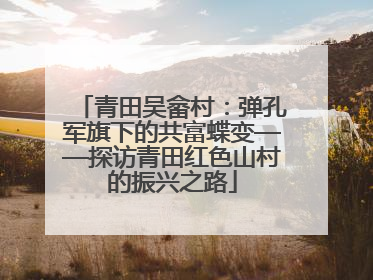 青田吴畲村：弹孔军旗下的共富蝶变——探访青田红色山村的振兴之路