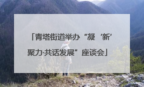 青塔街道举办“凝‘新’聚力·共话发展”座谈会