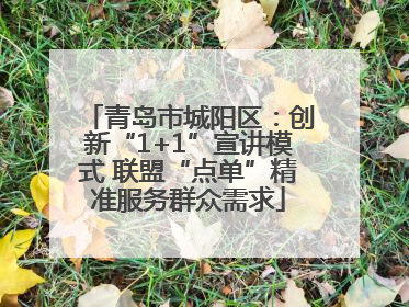 青岛市城阳区：创新“1+1”宣讲模式 联盟“点单”精准服务群众需求