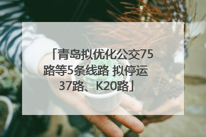 青岛拟优化公交75路等5条线路 拟停运37路、K20路