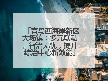 青岛西海岸新区大场镇：多元联动、智治无忧，提升综治中心新效能