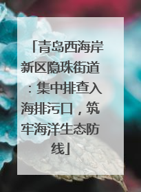 青岛西海岸新区隐珠街道：集中排查入海排污口，筑牢海洋生态防线