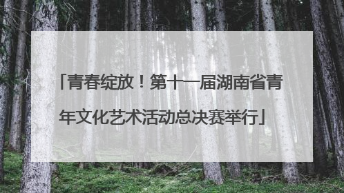 青春绽放！第十一届湖南省青年文化艺术活动总决赛举行