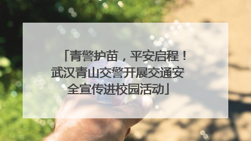 青警护苗，平安启程！武汉青山交警开展交通安全宣传进校园活动