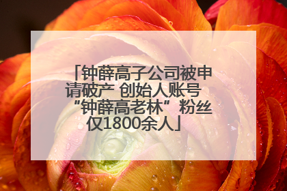 钟薛高子公司被申请破产 创始人账号“钟薛高老林”粉丝仅1800余人