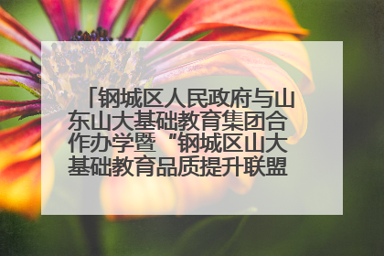 钢城区人民政府与山东山大基础教育集团合作办学暨“钢城区山大基础教育品质提升联盟”签约揭牌活动举行