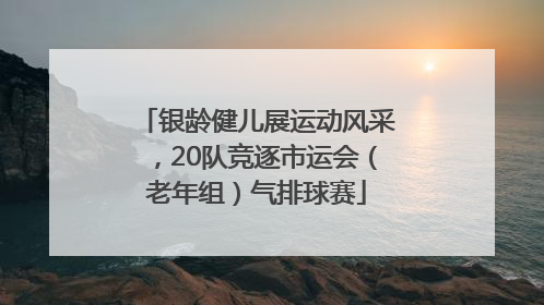银龄健儿展运动风采，20队竞逐市运会（老年组）气排球赛