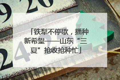 铁犁不停歇，播种新希望——山东“三夏”抢收抢种忙