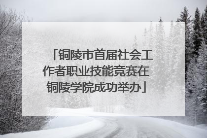 铜陵市首届社会工作者职业技能竞赛在铜陵学院成功举办