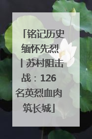 铭记历史 缅怀先烈丨苏村阻击战：126名英烈血肉筑长城