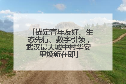锚定青年友好、生态先行、数字引领，武汉最大城中村华安里焕新在即