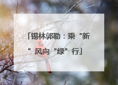 锡林郭勒：乘“新”风向“绿”行
