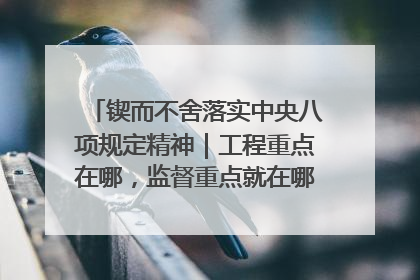 锲而不舍落实中央八项规定精神｜工程重点在哪，监督重点就在哪——广西深化政治监督护航平陆运河建设