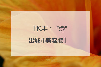 长丰：“绣”出城市新容颜