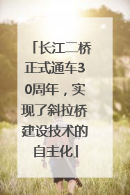 长江二桥正式通车30周年，实现了斜拉桥建设技术的自主化