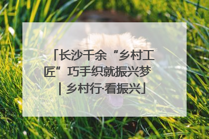 长沙千余“乡村工匠”巧手织就振兴梦｜乡村行·看振兴